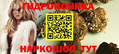 apvp Нягань